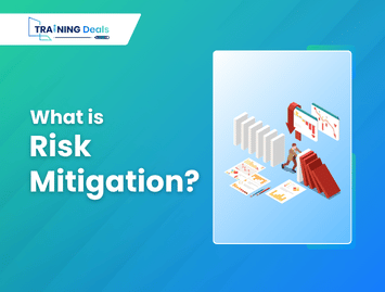 What is Risk Mitigation