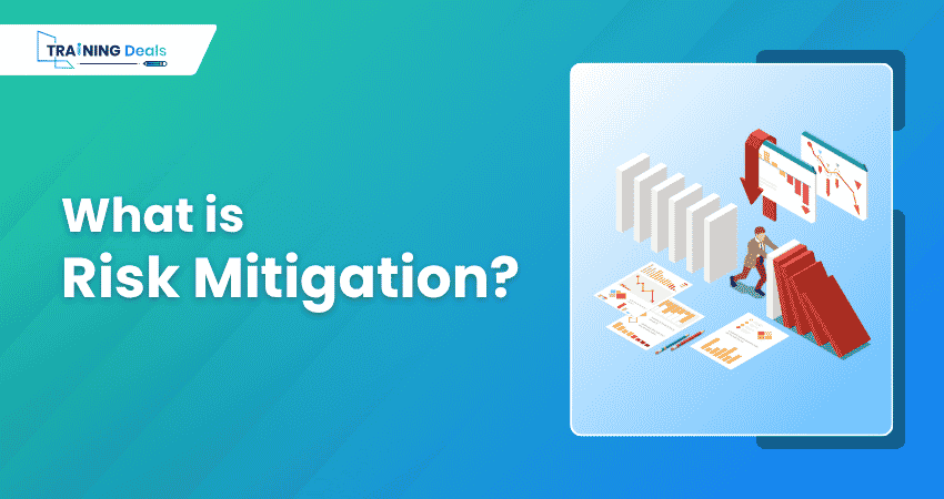 What is Risk Mitigation