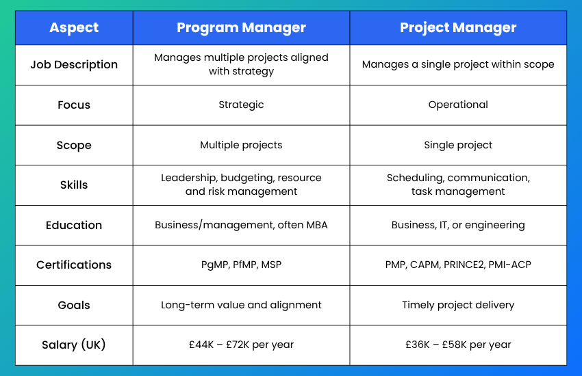 Program Managers vs Project Managers